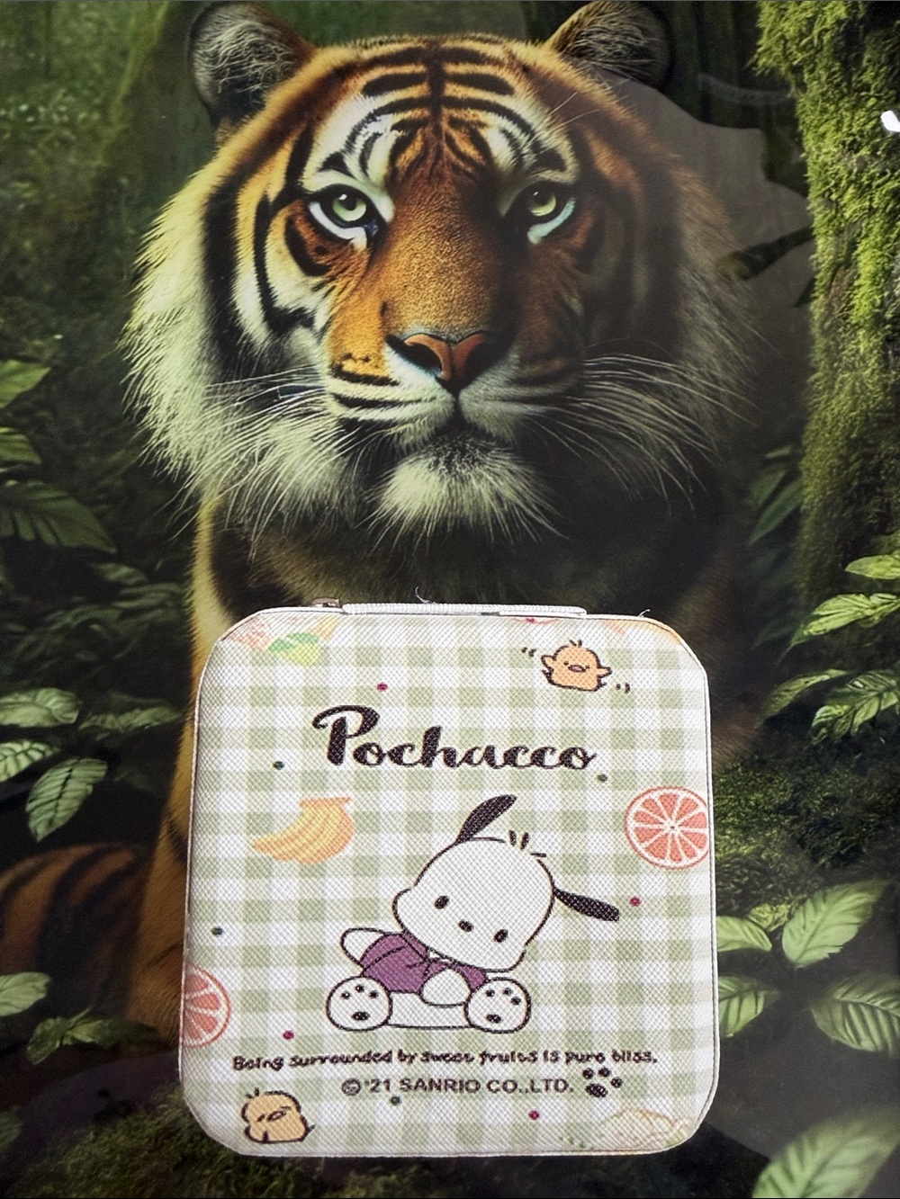 🔖 Sanrio Pochacco Jewelry Case